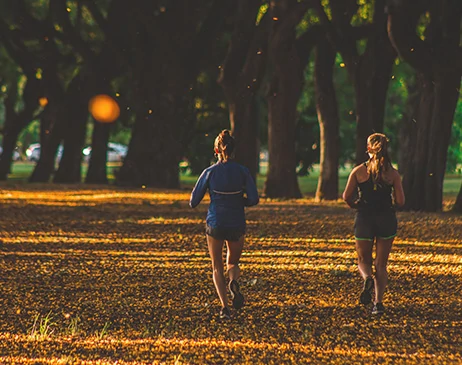 Walking in a garden