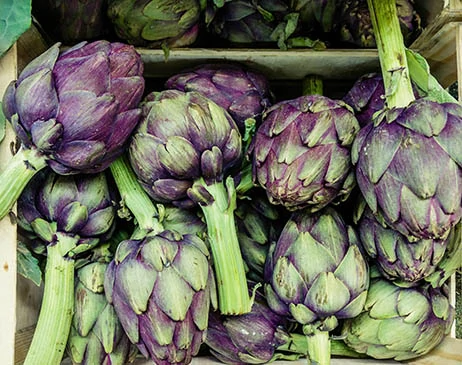 Artichokes