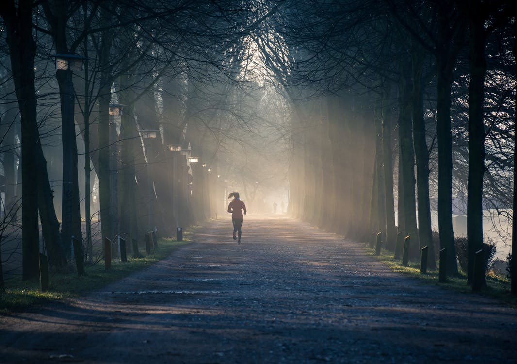 Woman running through woodland in the morning