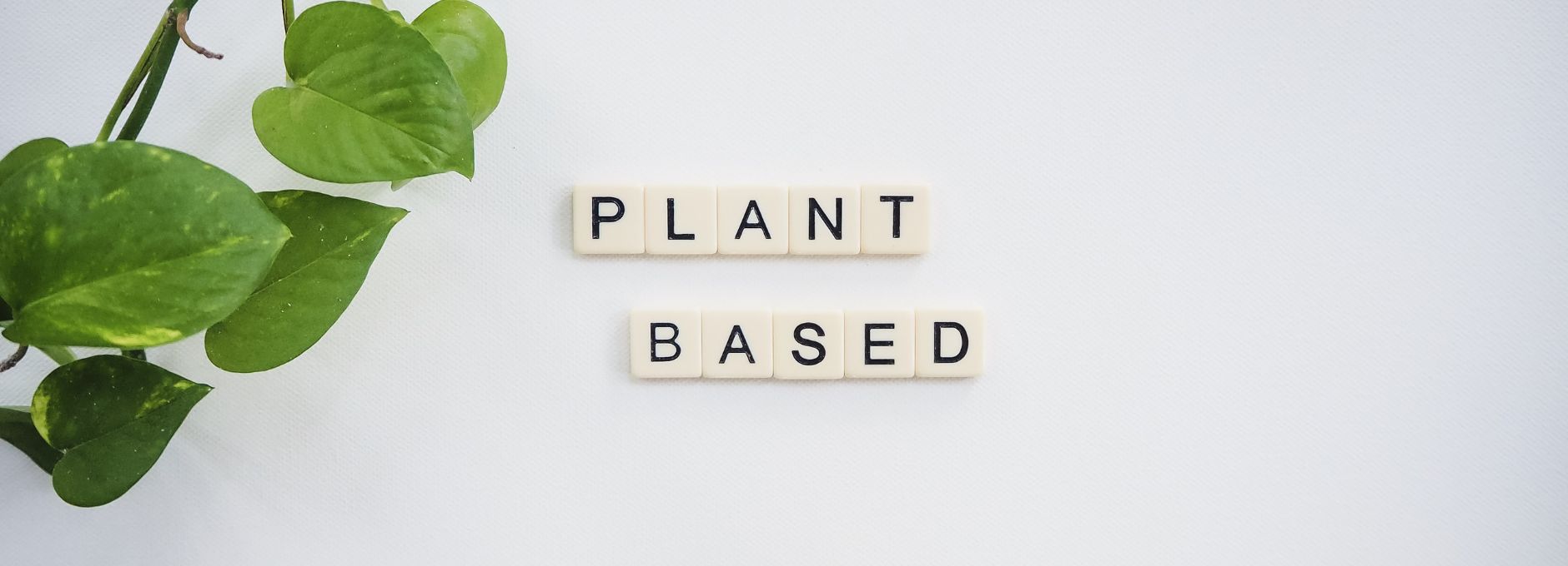 Plant Based